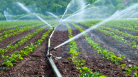 Irrigation